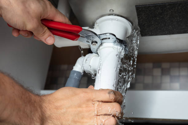Best Water damage restoration near me  in Williamsburg, OH