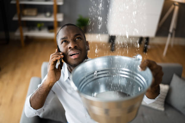 Best 24-hour water damage restoration  in Williamsburg, OH