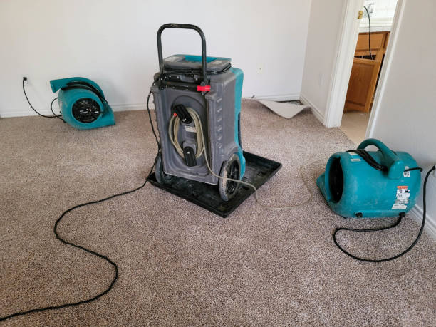 Best Sewage cleanup and water damage restoration  in Williamsburg, OH
