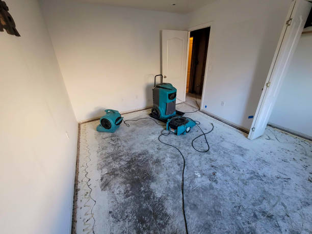 Best Residential water damage restoration  in Williamsburg, OH