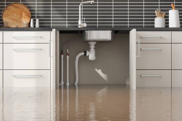 Best Water damage cleanup near me  in Williamsburg, OH