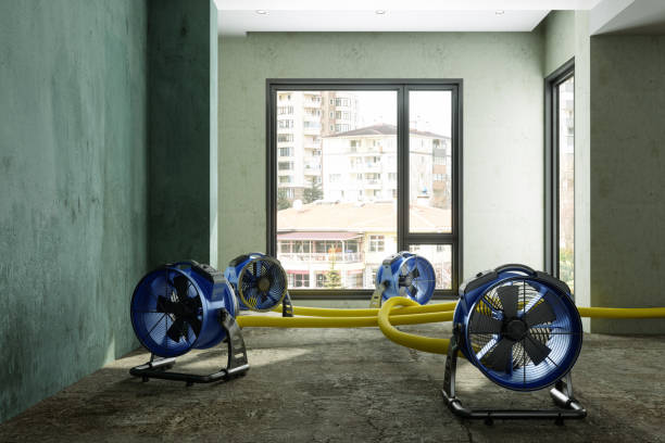 Best Water damage restoration insurance claims  in Williamsburg, OH