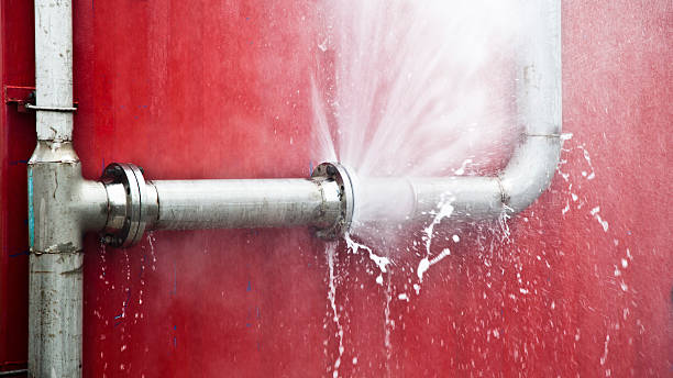 Best Fire Damage Restoration  in Williamsburg, OH